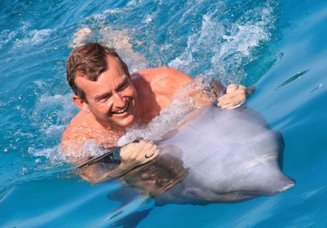 Diversión sobre un delfin